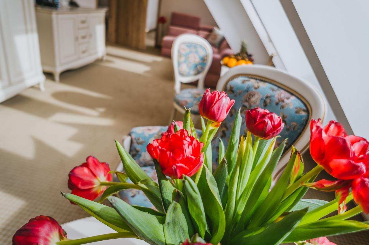 Hotel Paryski Art & Business Zakopane - Basen Jacuzzi Sauna Malpi Gaj Buitenkant foto